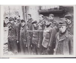 US Press Photo 'Volkssturm Prisoners' 1944