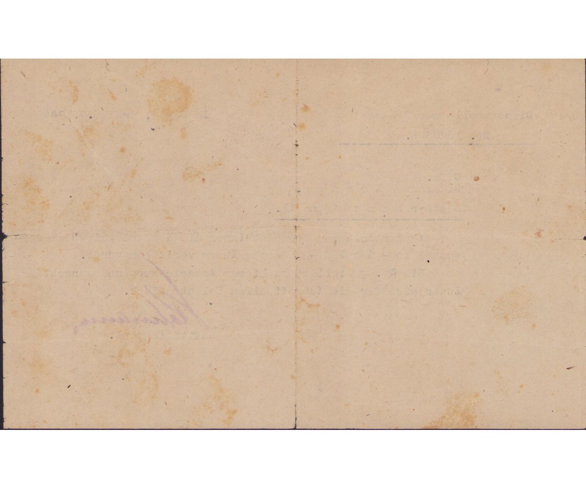 Nahkampfspange in Gold Document Grouping — image 4