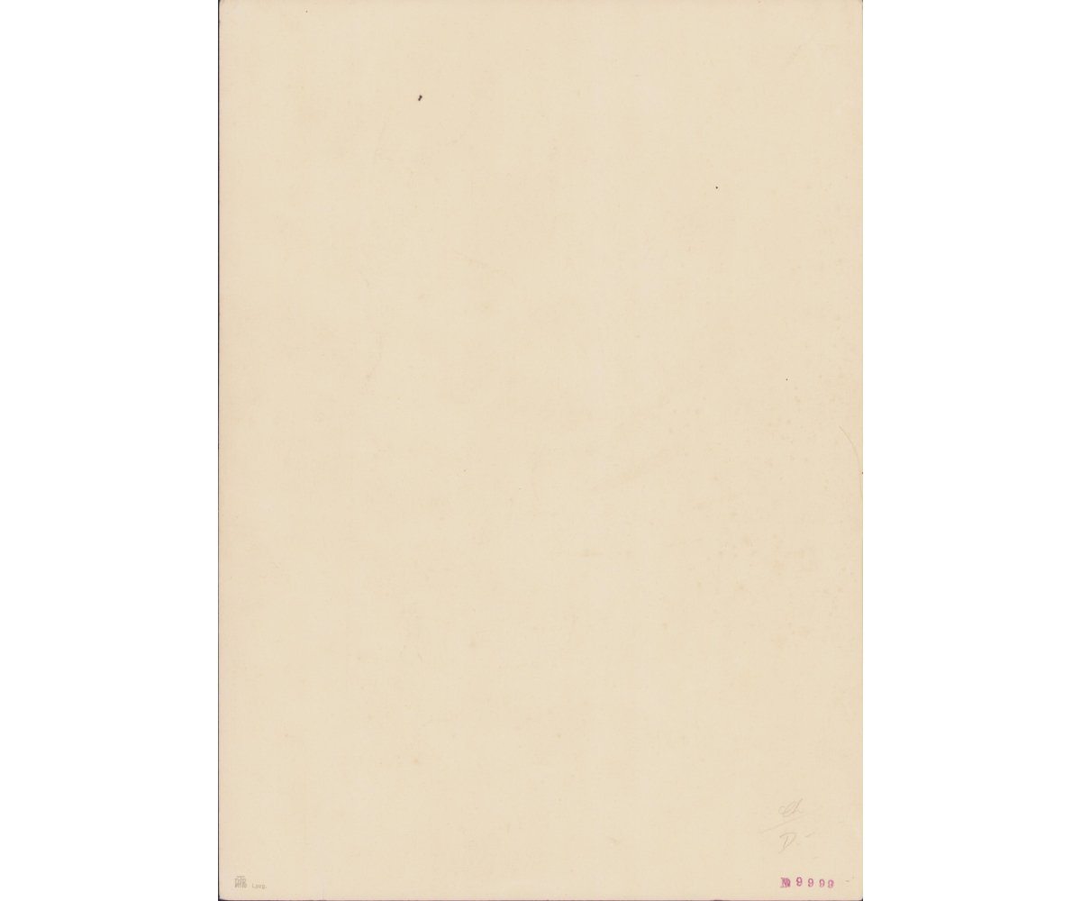 Large! A.Hitler Photograph — image 2