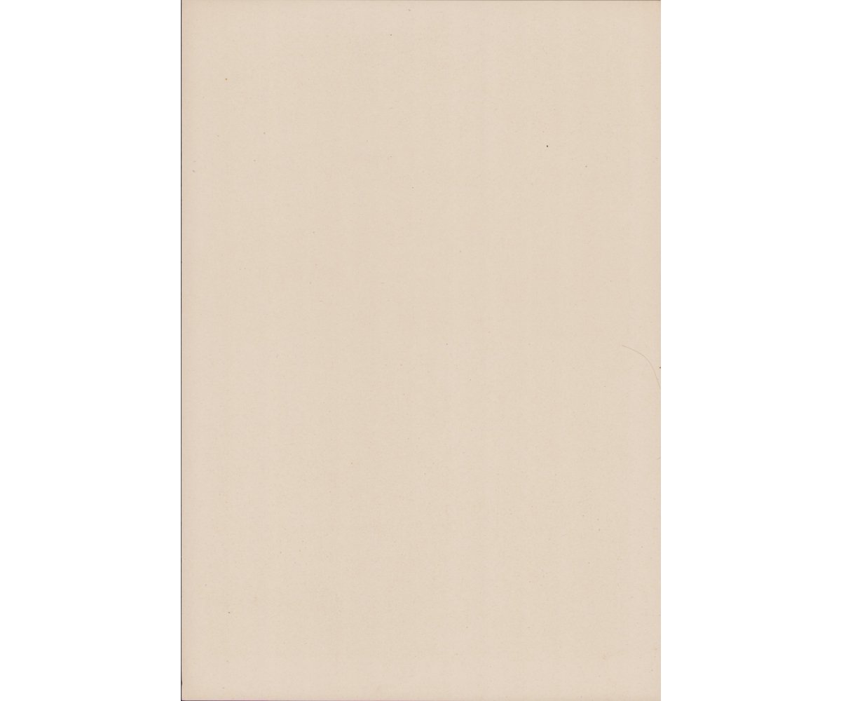 Wochenspruch der NSDAP (week 3,1943) — image 2