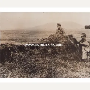 Camouflaged PaK40 in Tunisia Press Photo