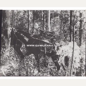 'Gebirgs Tragtier' Press Photo