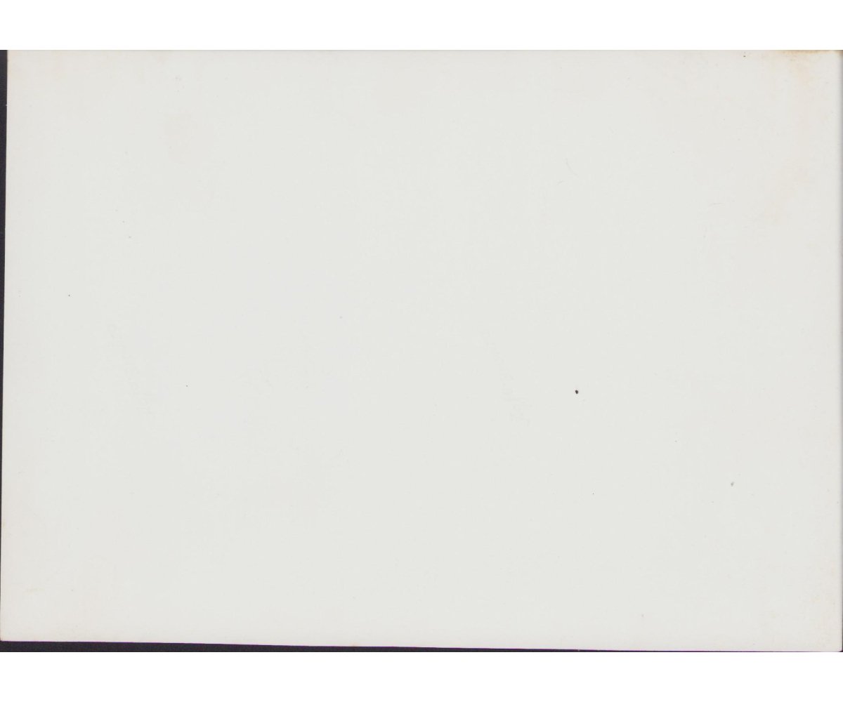 DJ/HJ Rally Press photo — image 2