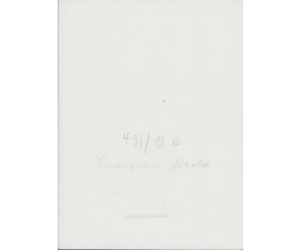 Gebirgsjäger Portrait — image 2