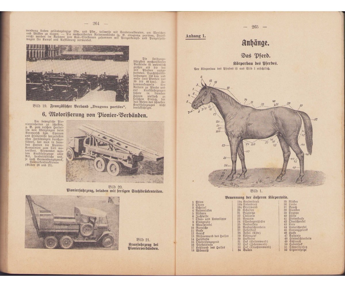 Rare Wehrmacht 'Pionier' Reibert 1937 — image 14