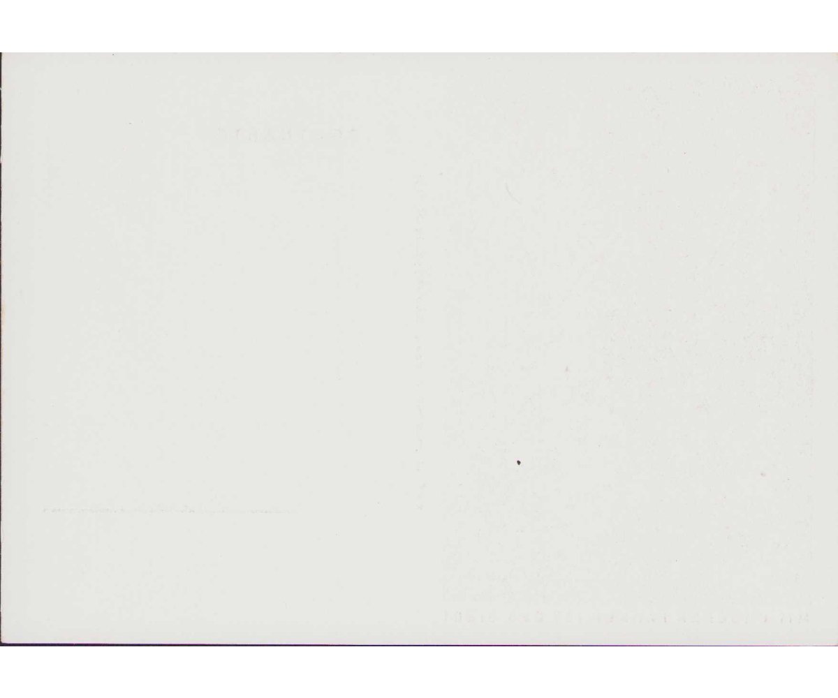 'Kradschützentruppen' KdF-Sammlergruppen Postcard — image 2