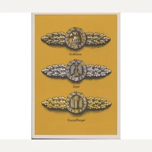 Symbole der Ehre 'Frontflugspangen' Postcard