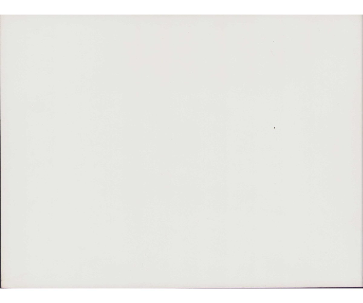 'Dr.Goebbels & Oberst Bodini' Press Photo — image 2