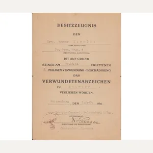 Bew.Kfz.Inst.Kp.213 KVKII Award Document