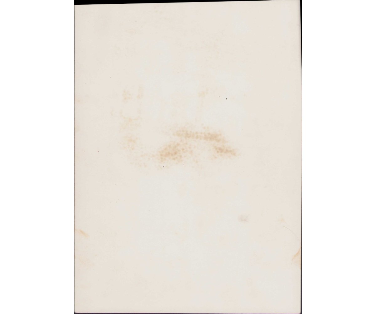 Large Wehrmacht Soldiers' Portrait — image 2