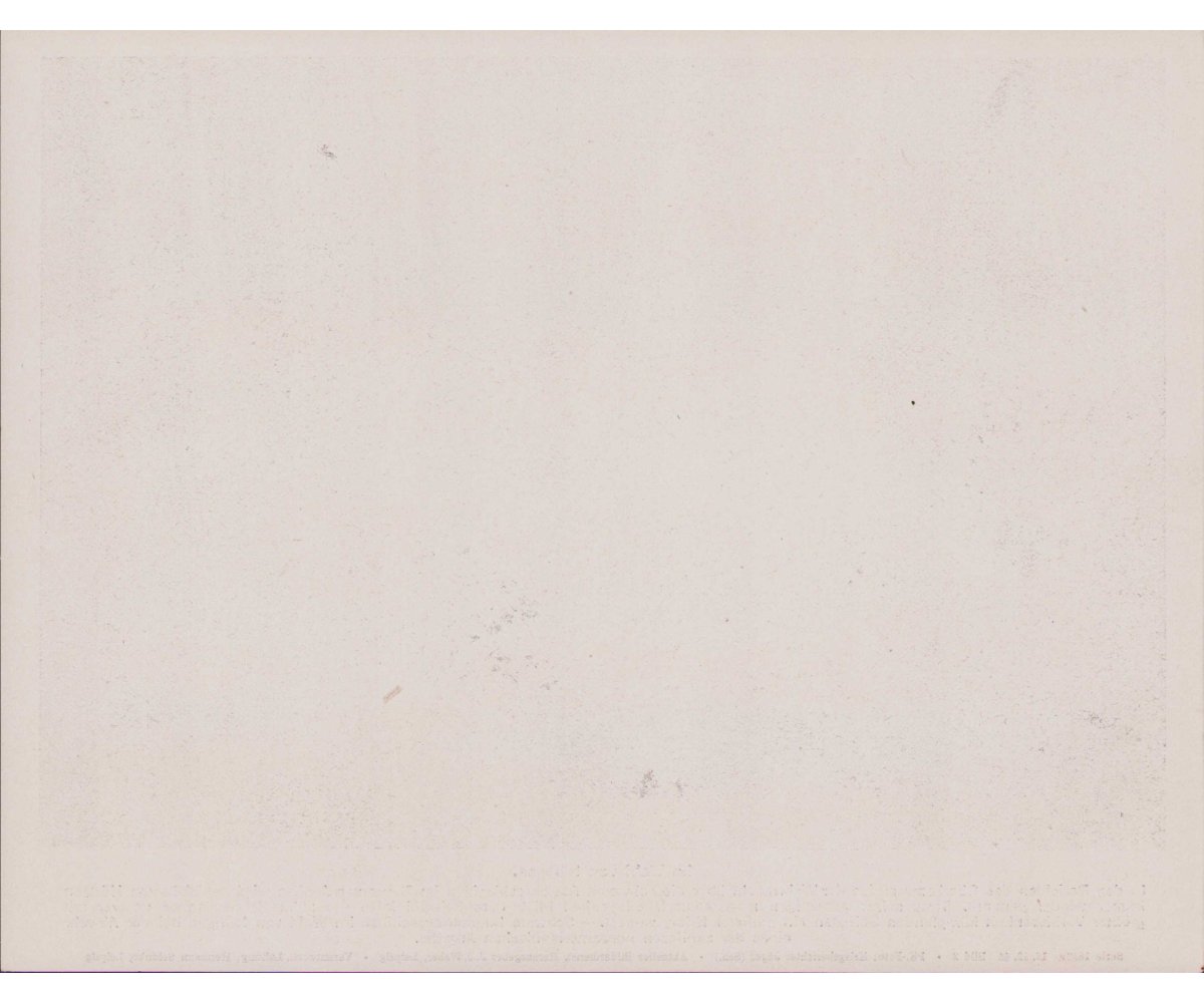 'Im Wald von Hürtgen' Bilderkasten Press Photo — image 2