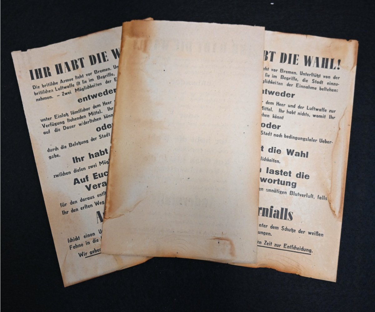 Allied Propaganda 'Ihr Habt die Wahl!' Bomb Flyer — image 2