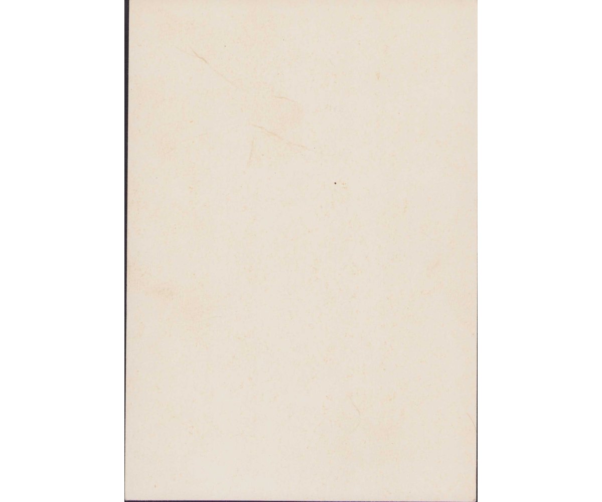 Inf.Btl.255 Treudienst-Ehrenzeichen Award Document — image 2