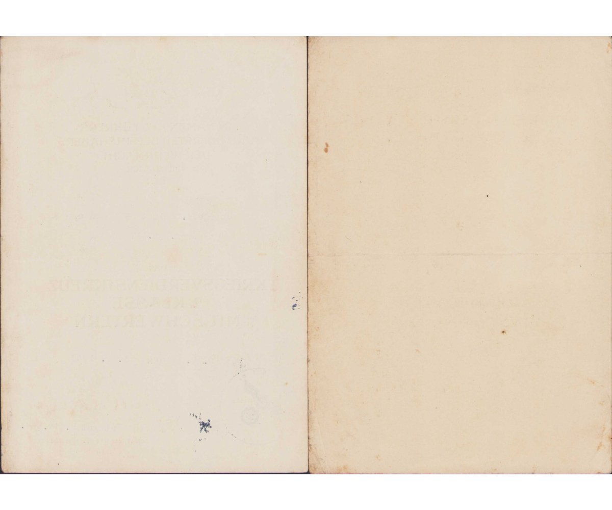 Gren.Rgt.117 KVK/Ost Urkunde Set — image 4