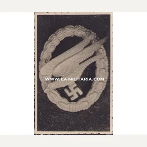 Fallschirmschützen Abzeichen Postcard