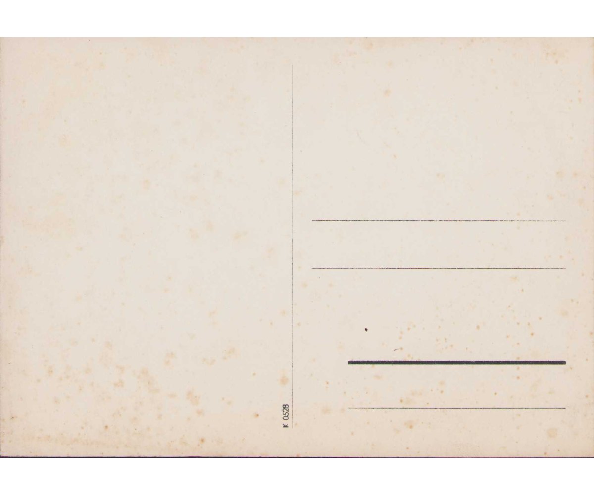 Arabic Erwin Rommel Color Postcard — image 2