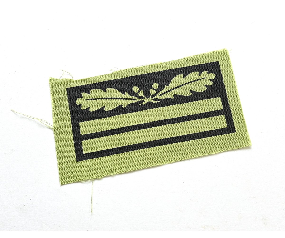 Waffen-ss (Obersturmführer) / Heer Camo Rank Sleeve Badge — image 2