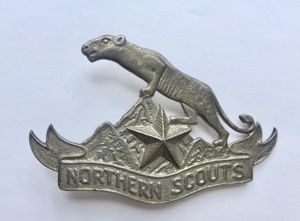 LARGE Indian Badge/INSIGNIA. NORTHERN SCOUTS