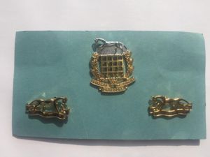 Berkshire & Westminster Dragoons Anodised - Staybrite Pair of Collar …