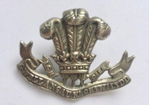 WELSH REGIMENT Collar Badge: