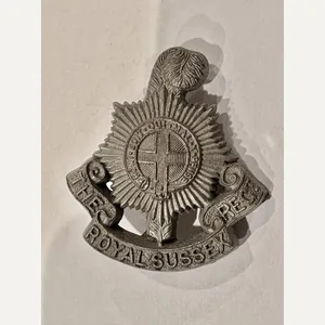 The Royal Sussex Regiment Plastic Economy Cap Badge