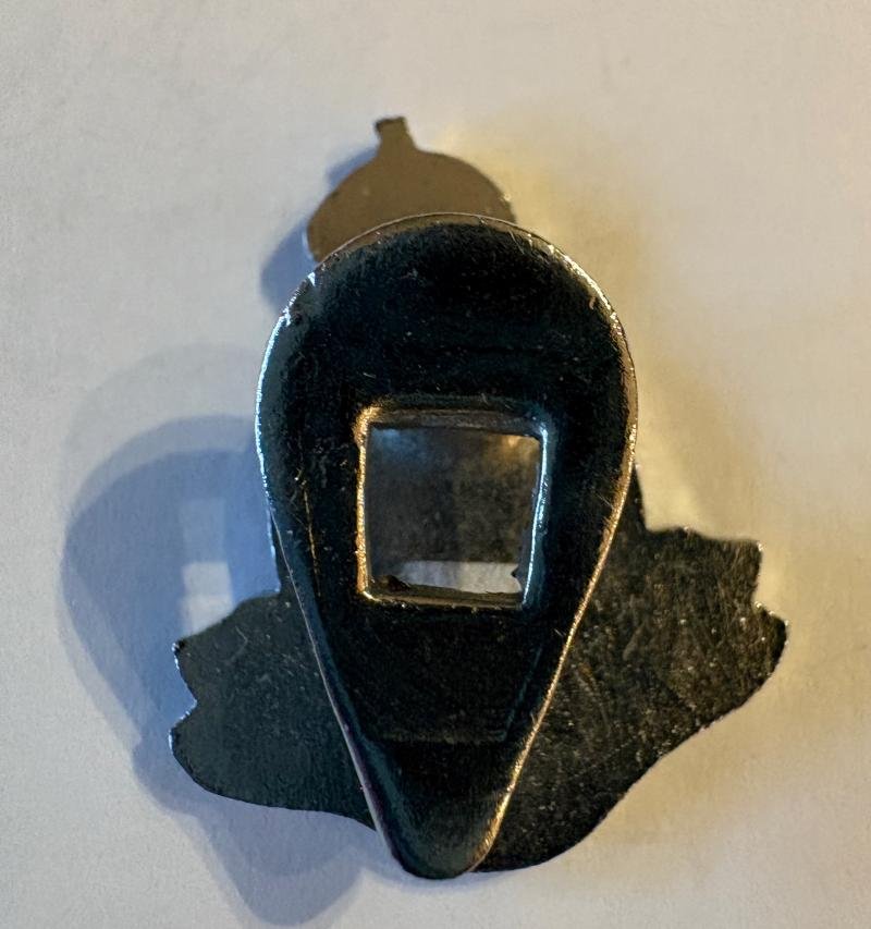 Lapel badge: The Queen's Own — image 2