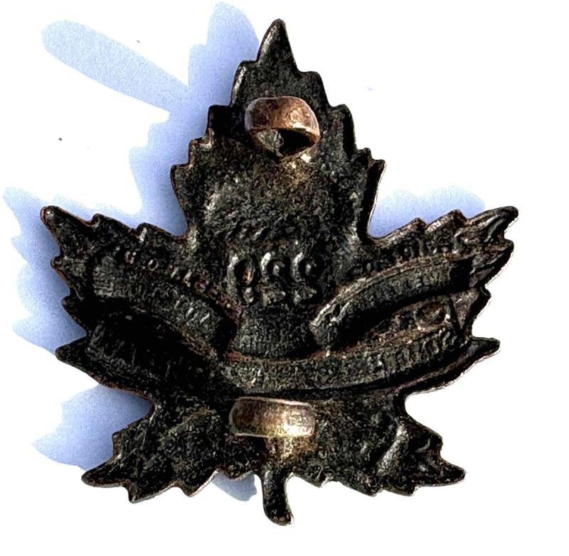 Canadian Collar Badge. CEF. 229 South Saskatchewan — image 2