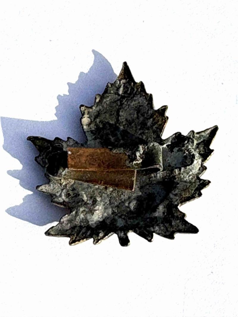 Canadian Collar Badge. CEF. 230 Forestry Officer's Gilt with Blades — image 2