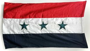 Iraqi Desert Storm Flag Large 52 1/2' x 31'