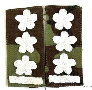 ARVN Ranger Colonel Sew On Color Rank – Pair