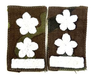 ARVN Ranger Lt. Colonel Sew On Rank – Pair