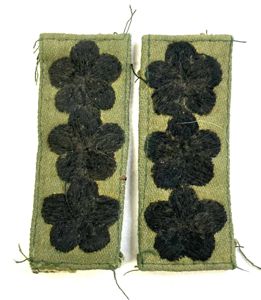 ARVN Captain Sew On Rank Subdued Pair
