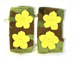 ARVN Ranger 1st Lieutenant Rank Pair