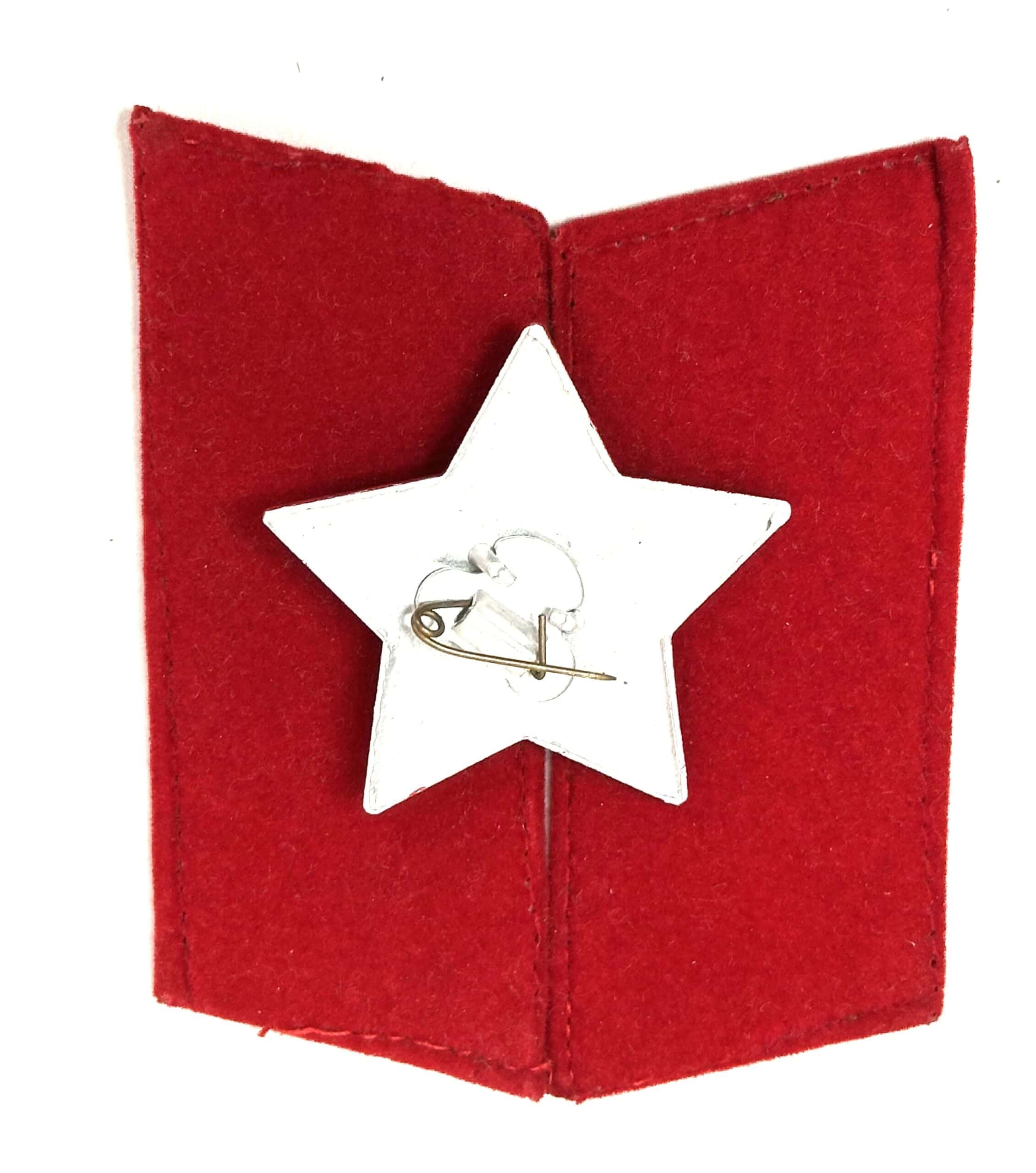 ChiCom PLA Cap Badge & Collar Tabs — image 3