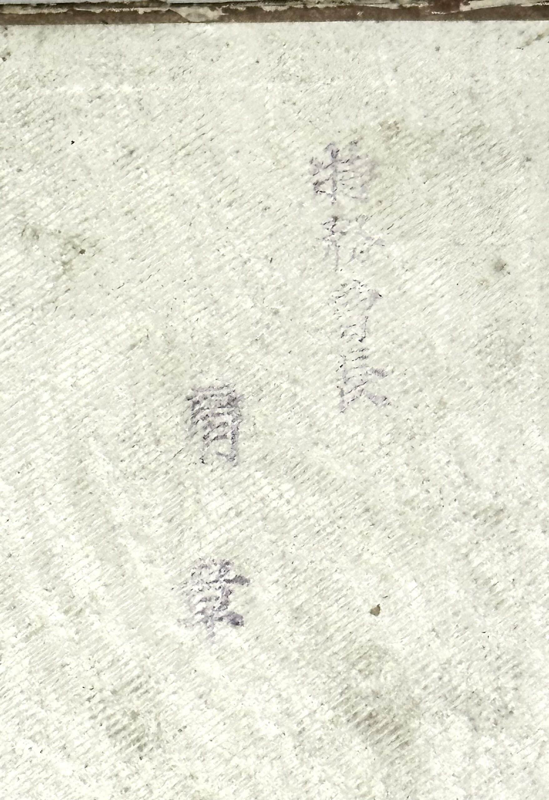 WW2 Japanese Army Warrant Officer Boxed Dress Shoulder Boards — image 4