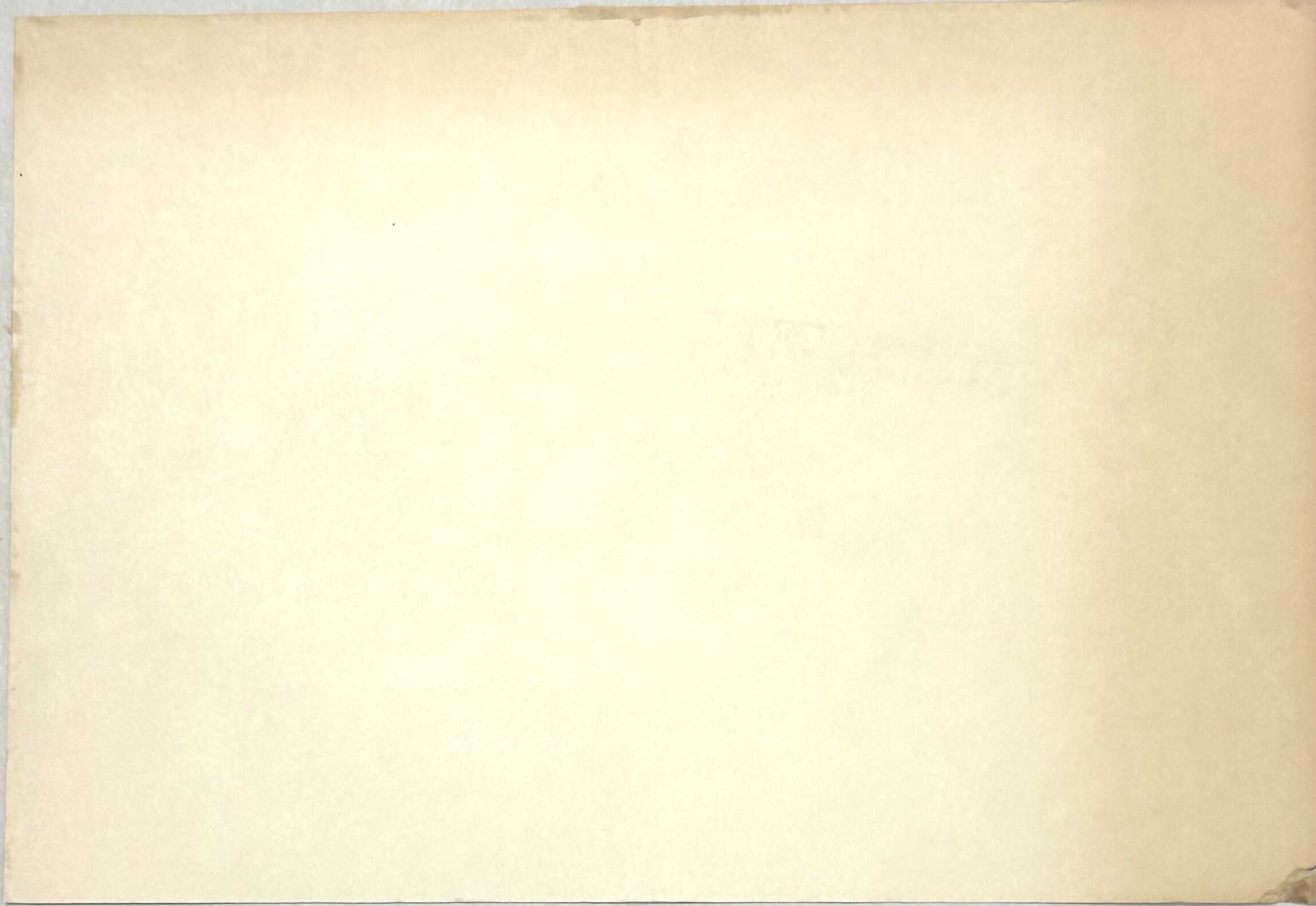 Viet Cong Color Print of BAR in action — image 2