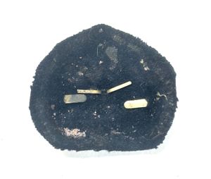 WW2 Japanese Imperial Guard? Army Officer Assigned To Navy? Cap …