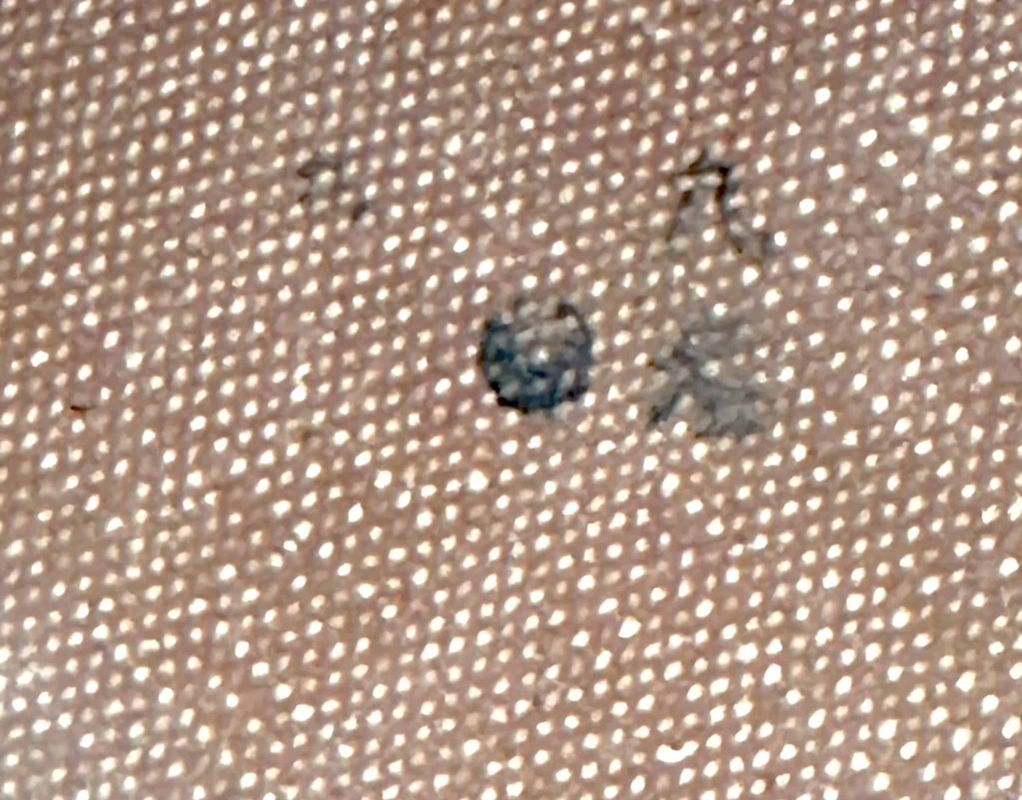 WW2 Japanese Type 14 Nambu Holster Rubberized Canvas with Shoulder Strap 1944 — image 10