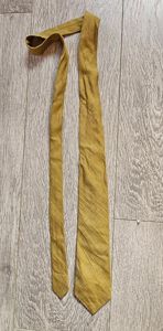 cravatte pour leader politique PL