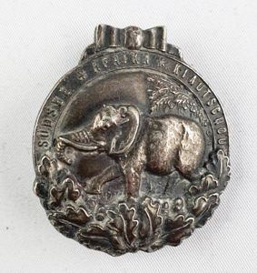 Insigne de vétérants : Südsee-Afrika-Kiautschou