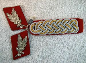 Lot de grades d'un Oberführer de la SA