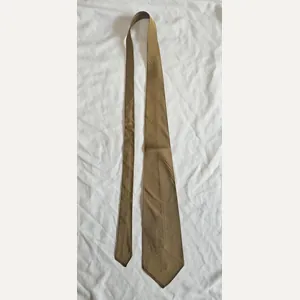 Cravatte pour leader politique ou SA