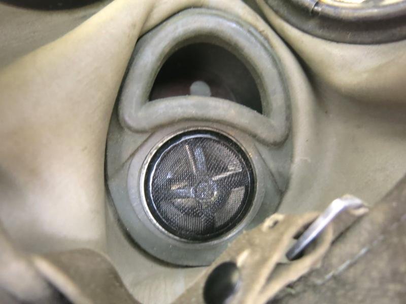 German Wehrmacht Combat GM38 Gas Mask Set Matching 1938-1939 Mega Mint Condition, Feldwebel Franz B...., Part I Of II. — image 19