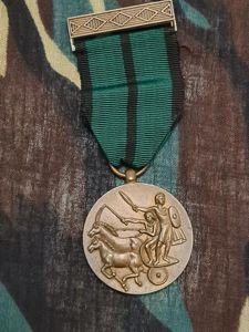 Distinguished Service Medal 2nd Class