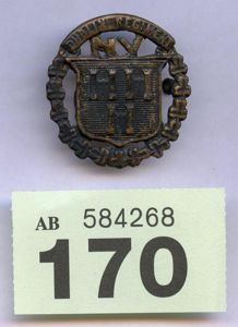 Dublin Regiment Of The Irish National Volunteers