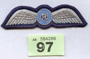 Irish Air Corps Pilot Wings