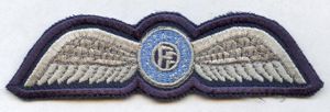 Irish air Corps pilot wings