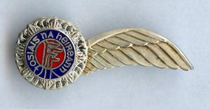 IDF Army Air corps Flight Crew wing