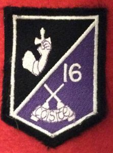 Irish Defence Force 16 Inf Bn