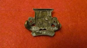 Royal Irish Regiment collar badge